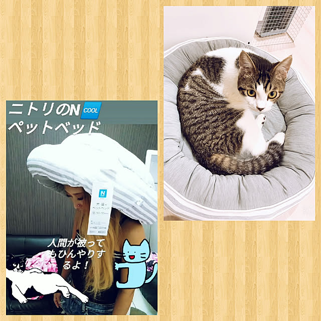waniwaniさんの実例写真