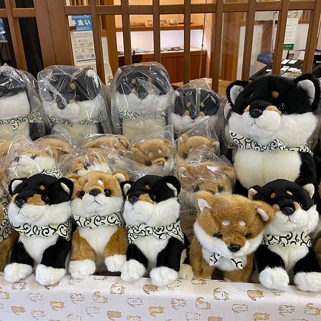 aureaさんの実例写真
