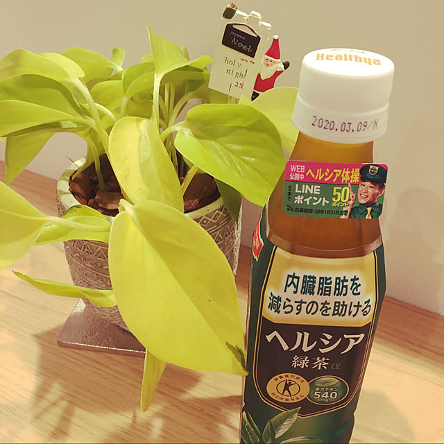 papandaさんの実例写真