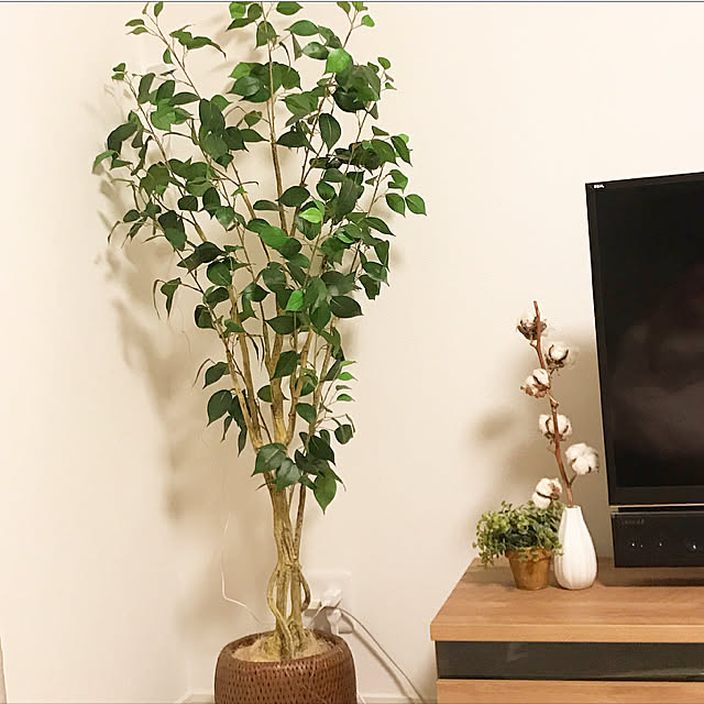 ayaさんの実例写真