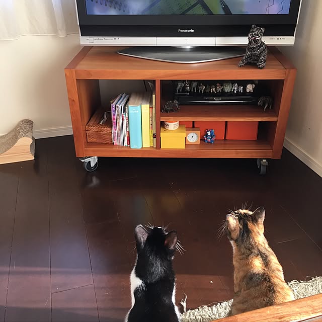 marukoさんの実例写真
