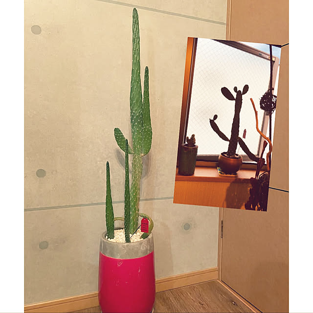 Mmさんの実例写真