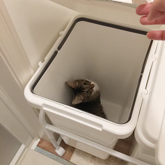 yuchiさんの実例写真