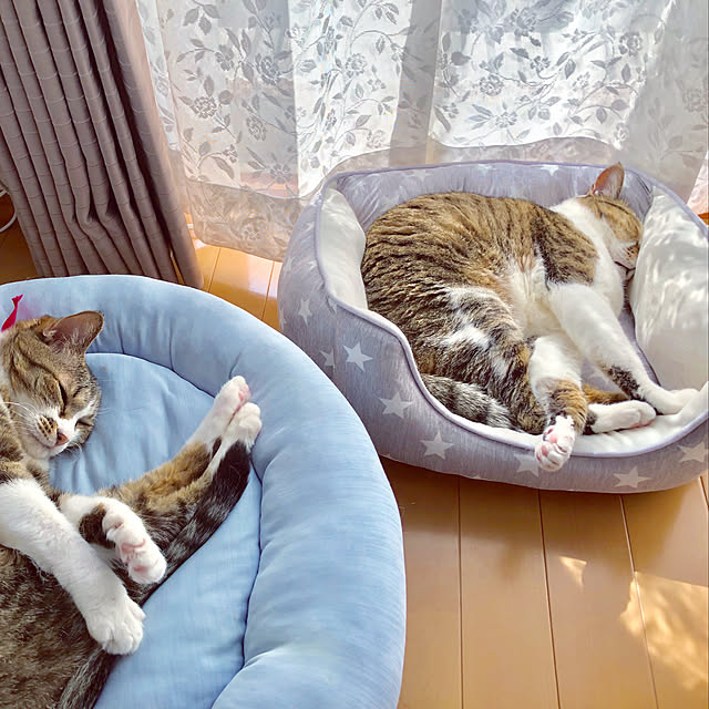 nnmmさんの実例写真