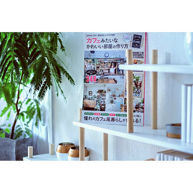 掲載誌/雑誌掲載/宝島社/カフェみたいなかわいい部屋の作り方/グリーンのある暮らし...などのインテリア実例 - 2017-07-21 18:50:31