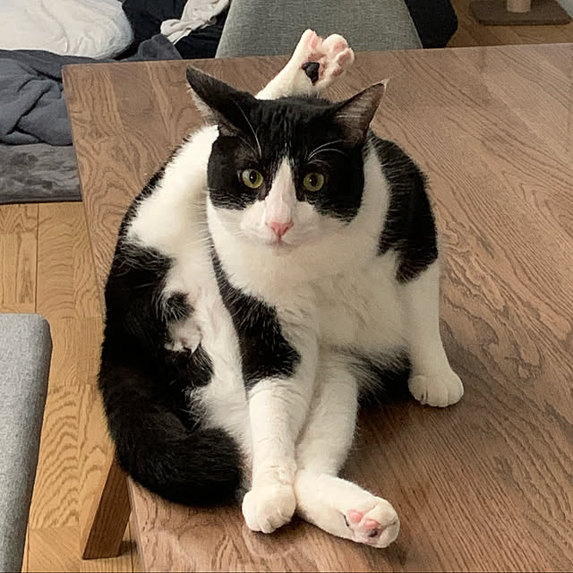 実例写真