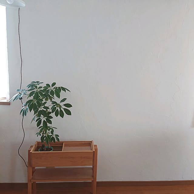 Mi-koさんの実例写真