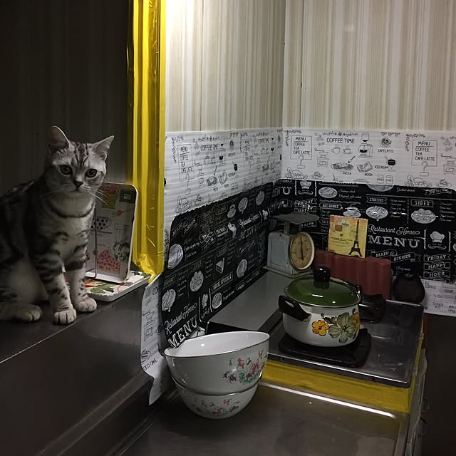 tanutanさんの実例写真