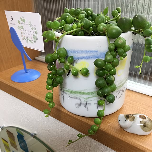 puriyuzuさんの実例写真