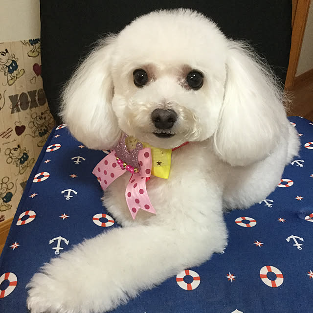 kakoさんの実例写真