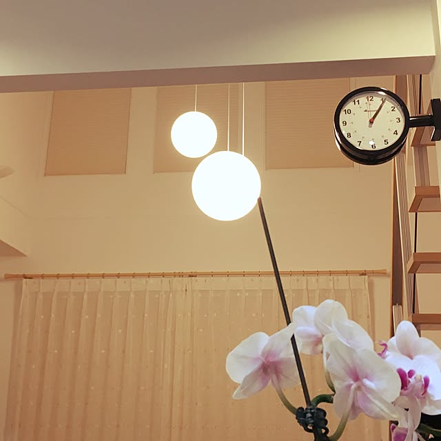 harutodaisukiさんの実例写真