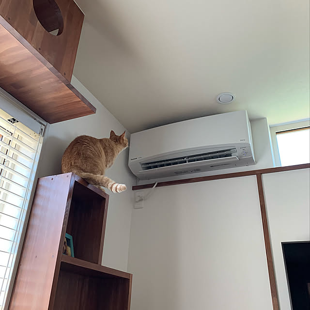 mikeume7さんの実例写真