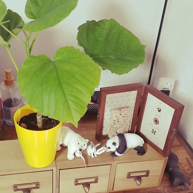 asuさんの実例写真