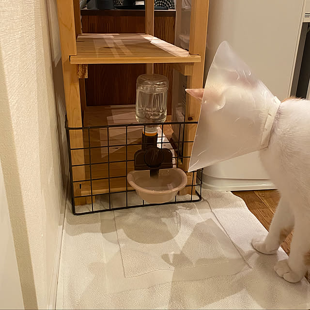 panchanさんの実例写真