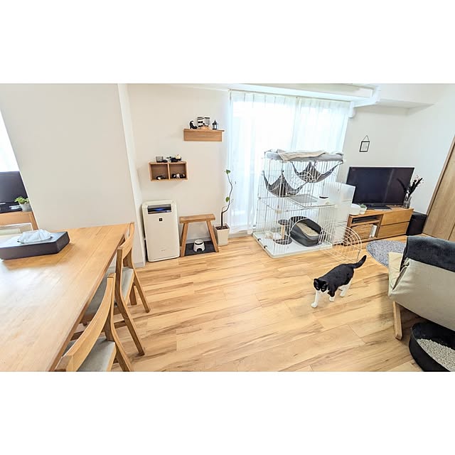 hihaさんの部屋