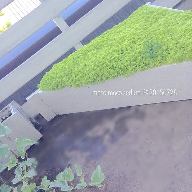 MYKさんの実例写真