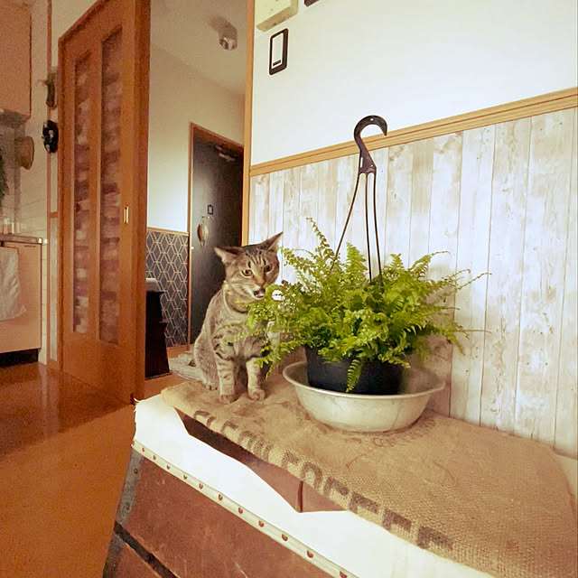 Mさんの実例写真