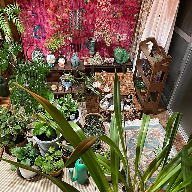 shin0719さんの部屋