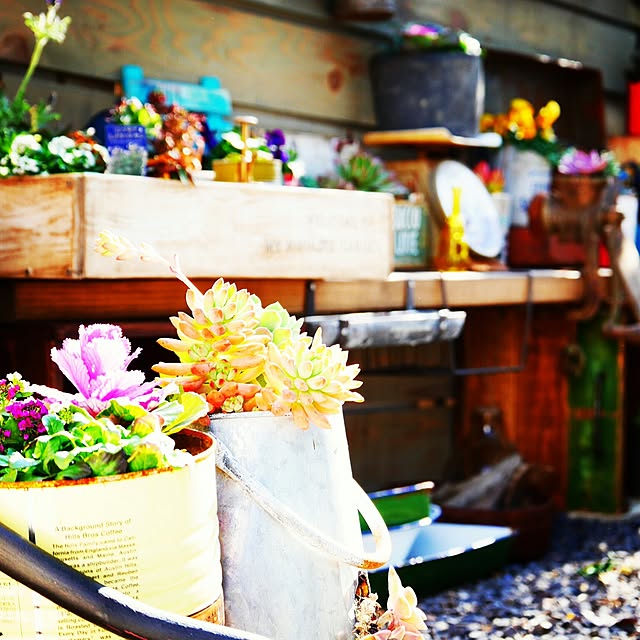 andante365さんの実例写真