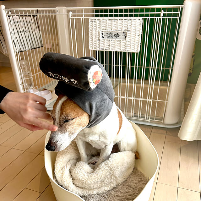 kittyさんの部屋