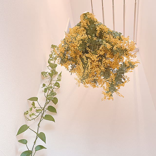 akiko-ovさんの実例写真