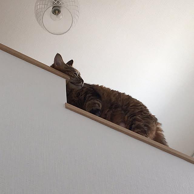 kuu511さんの実例写真