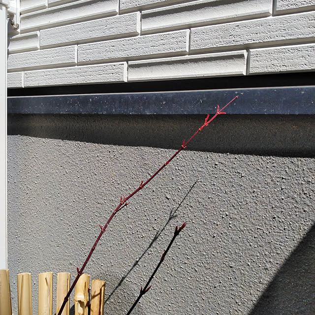 daimanaさんの実例写真