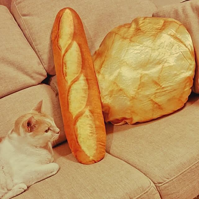 to-fuさんの実例写真