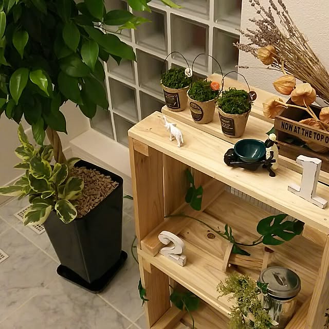 yoshikunさんの実例写真