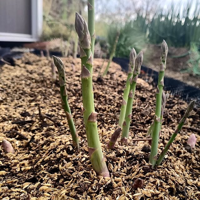 hana-さんの部屋