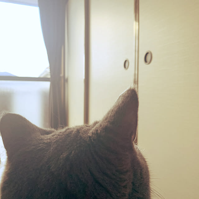 yunatana06さんの実例写真