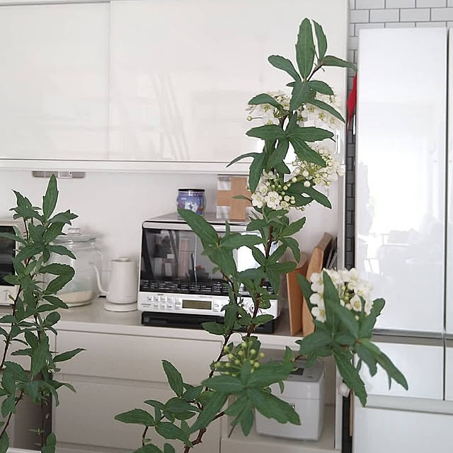 __home_m.さんの実例写真