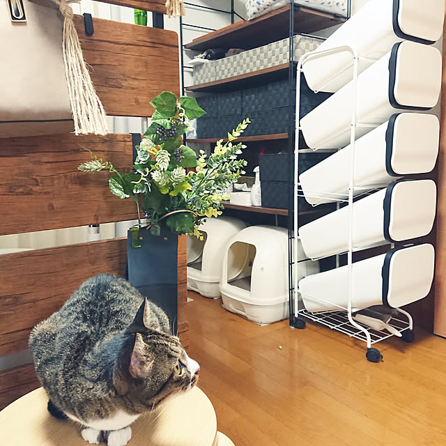 nachiさんの実例写真