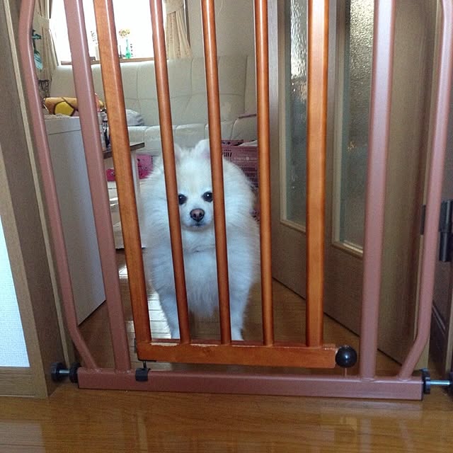 yuppoさんの実例写真