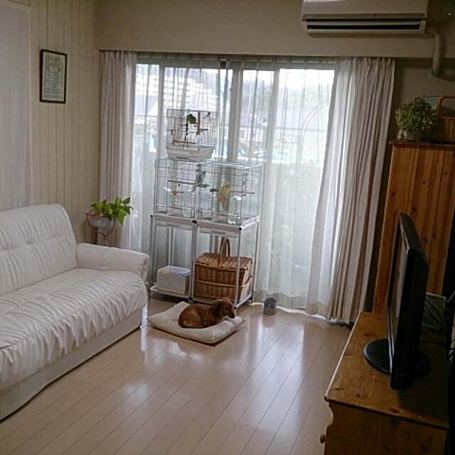 TOMOさんの実例写真