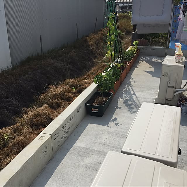 rsarhhさんの実例写真