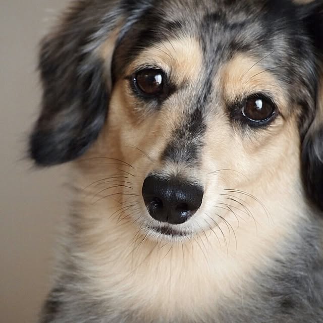 tomo1220さんの実例写真