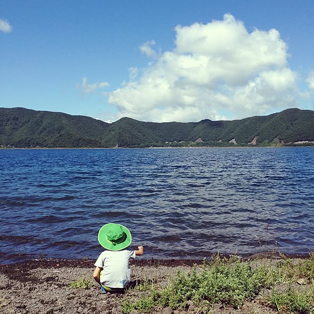 実例写真