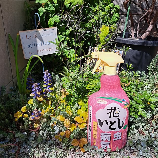 Jijiさんの実例写真