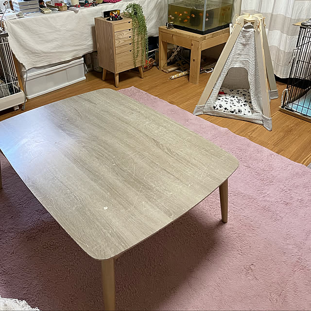 momoさんの実例写真