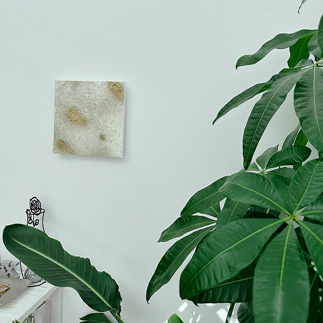 hanahana1444さんの部屋