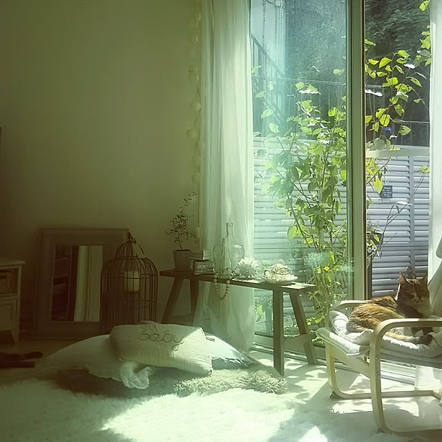 mikemomoさんの実例写真
