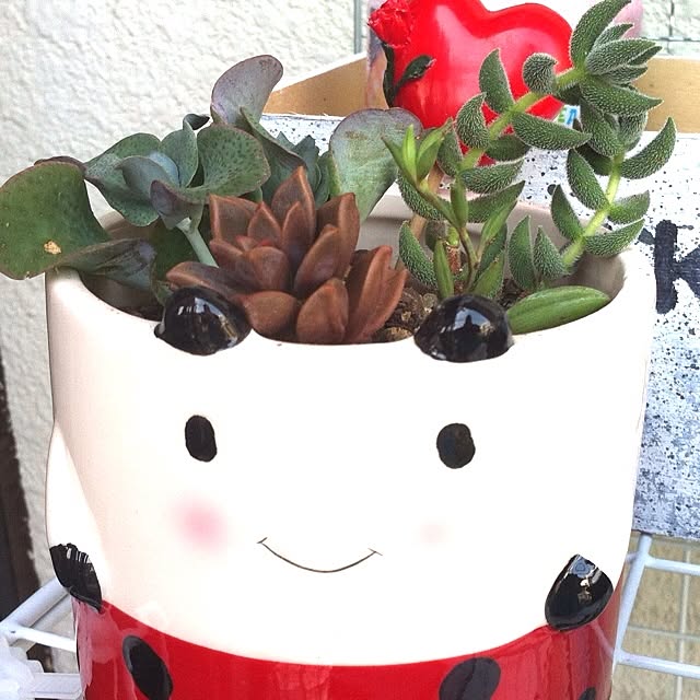 mapiさんの実例写真