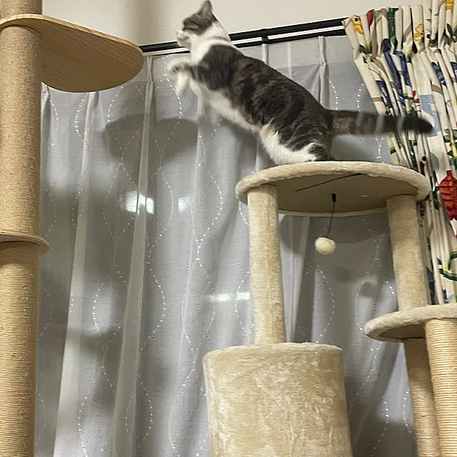 yumiさんの実例写真