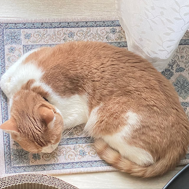 mintteaさんの実例写真