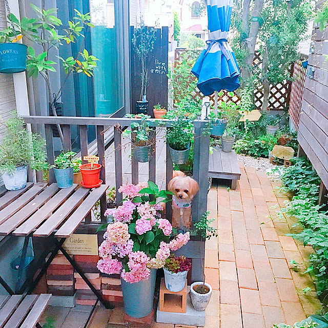 risaさんの実例写真