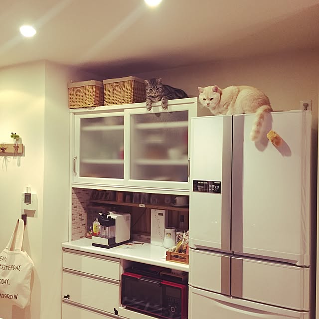 y.k.0123さんの実例写真
