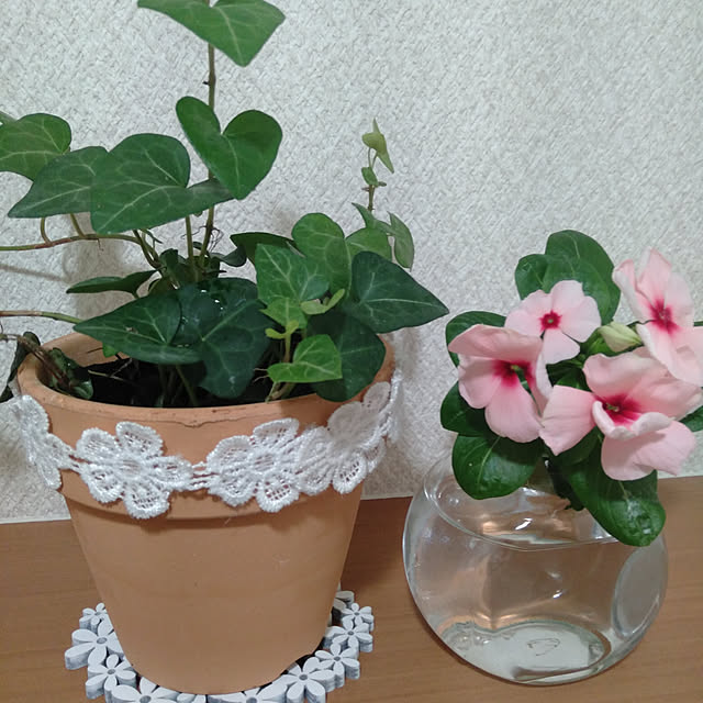 neoyukikoさんの実例写真