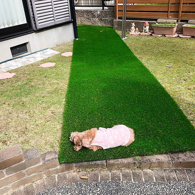 haruminさんの実例写真