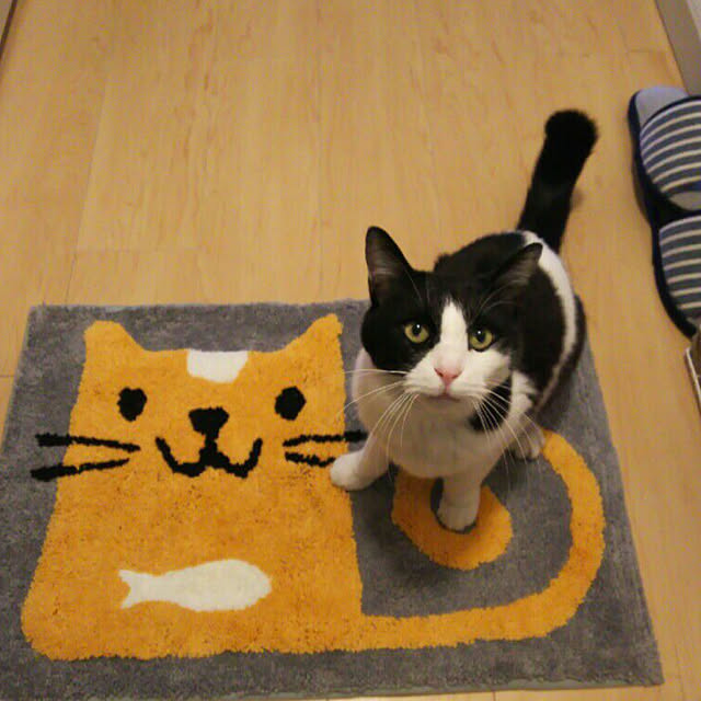 satoponさんの実例写真